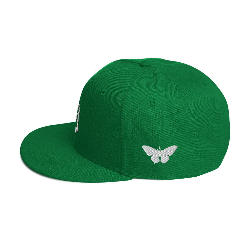 "Save the world" Snapback Hat